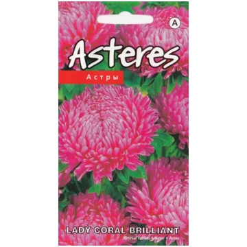 KURZEMES SEKLAS Sēklas Kurzemes sēklas asteres Lad