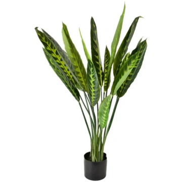 VIRIDIS Mākslīgais kalateja zieds 15x14x109cm .Mon