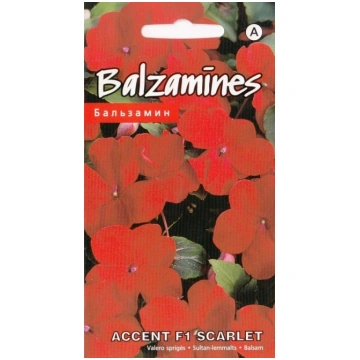 Balzamīnes Accent F1 Scarlet sēklas 10gb Kurzemes 