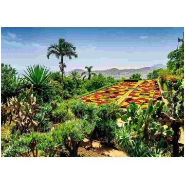 Puzzle Beautiful Gardens: Botanical Garden, Madeir