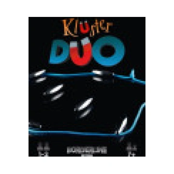 Brain Games Kluster Duo Insight Editions 792105699