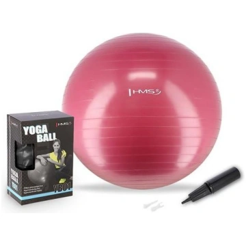YB01 NEW 65CM PLUM GYM BALL HMS