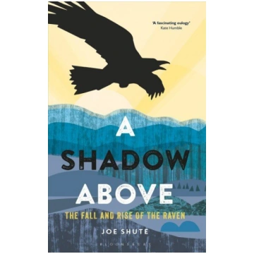 Shadow Above: The Fall and Rise of the Raven