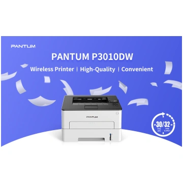 Pantum P3010DW