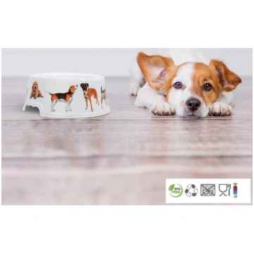Bļoda dzīvniekiem PETS 1l 8429429101051