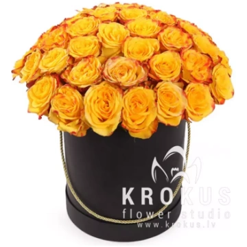 Dzeltenas rozes melnā cepur kastē Oranžas rozes