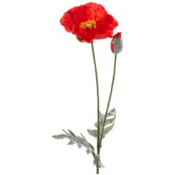 MĀKSLĪGĀ MAGONE 67CM SARKANA FIEBIGER FLORISTIK