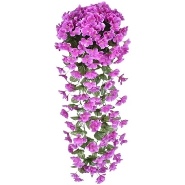 Mākslīgā kāpšanas efeja, violeta