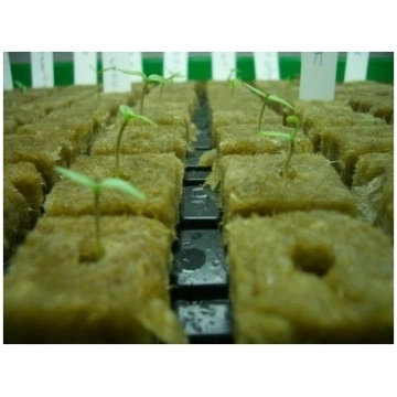 Grodan - Cubetto Lana di Roccia - 4X4X4 - Per Germ