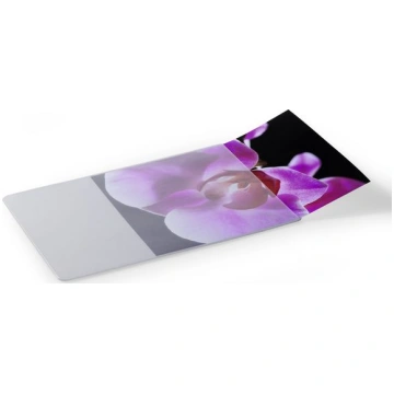 DURABLE Mouse Pad Plus mit Fotoeinschub grau/trans