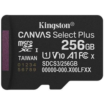 Kingston Technology 256GB micSDXC Canvas Select Pl