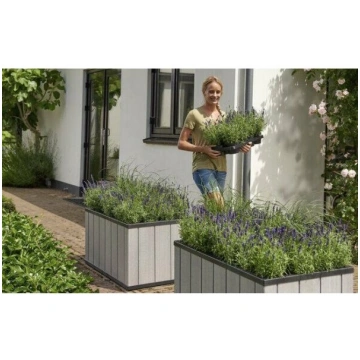 (242901) KETER Sequoia Duotech Medium puķu pods, p