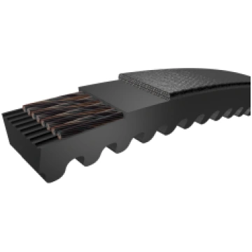 PHG XPA1207 Ķīļsiksna 1207x12.7 SKF