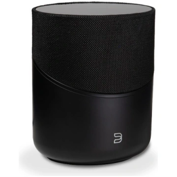 Bluesound Pulse M