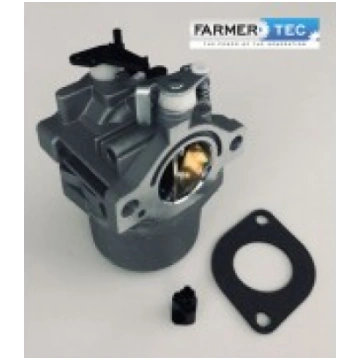 Karburators BRIGGS&STRATTON (495706, 498027, 49823
