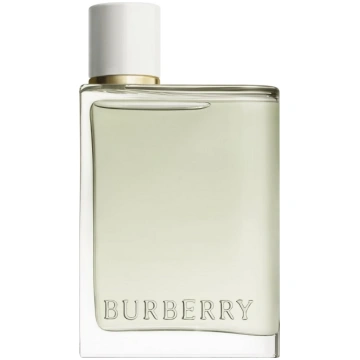 T Burberry Her Edt Aerosols 100ml