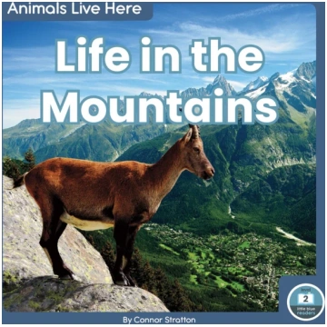 Life in the Mountains Connor Stratton