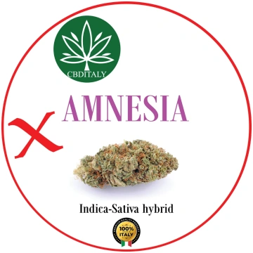 AMNESIA X THCV 20% 10g *OUTLET CBDITALY