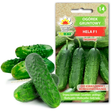 Cucumber Hela F1 Toraf Vegetable Seeds 5g Pack TO1
