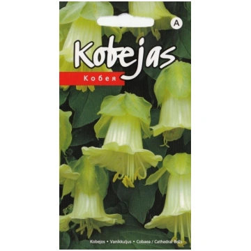 Kobejas baltas sēklas 5gb Kurzemes sēklas