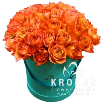 Oranžas rozes stilīgā cepuru kastē
