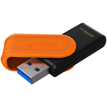 Kingston Technology DataTraveler 256GB Portable US