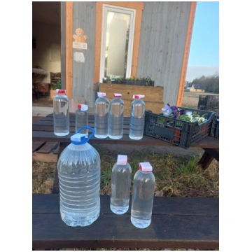 Bērzu sula ar citronu 1l