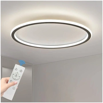 Mikeru 40 cm griestu gaisma LED dimmable Remote Co