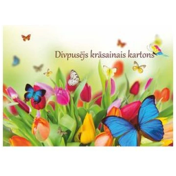 Divpusējs krāsainais kartons A4 8lp. 82259 4030969