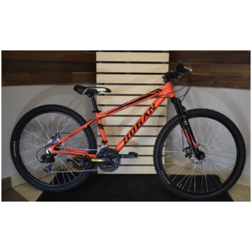 velosipēds Hogan classic II
