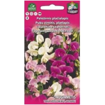 Standart flower Sēklas puķuzirnis platlapu debesti