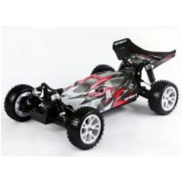 Spirit 1/10 4WD RTR El. Buggy VRX 2.4Ghz Pilotage