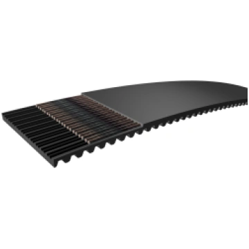 PHG 645-5M-25 Zobsiksna 645x25 SKF