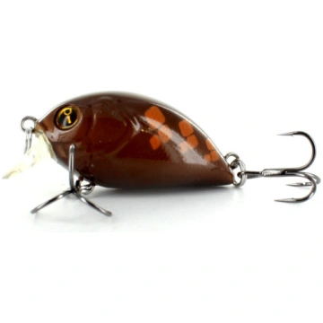 IZUMI Malicious 28 Krasa 34