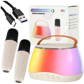 RoGer Portable Bluetooth Karaoke Speaker Set