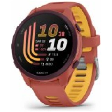 Garmin Forerunner 170 Music Red Pink/ Mango 010-03