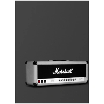 Silver Jubilee 2555X Vintage Reissue Head Marshall