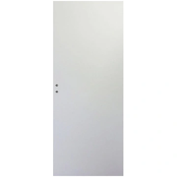 Durvis LANA-Amatnieks 60 670x2055 grunt. BRODOOR 4