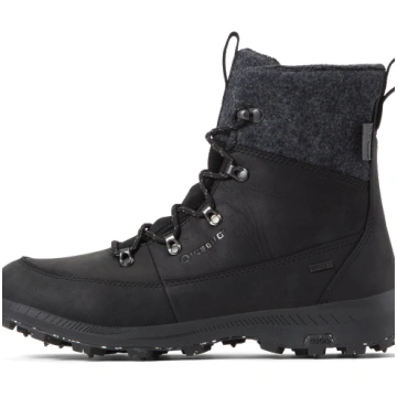 4.5 Icebug