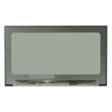 Display LED 15.6 OnCell Touch IPS FHD 40pin No bra