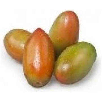 Pomodoro Insalataro Bio (BRUTTOMABUONO)