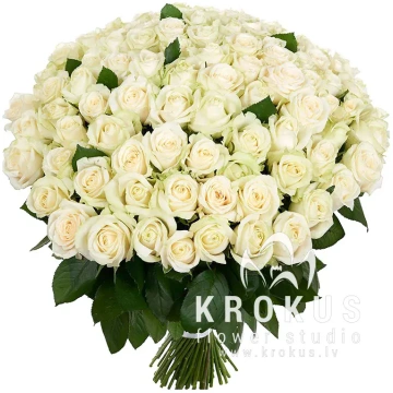 101 baltas rozes 40cm❤️