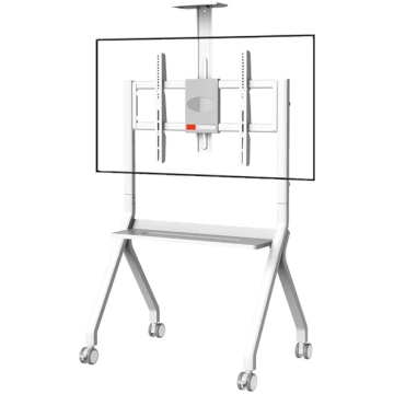 Smart Board Ständer, verstellbarer Boden-TV-Stände