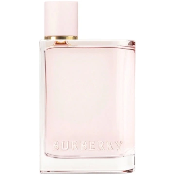 Burberry Her Edp Aerosols 100ml