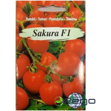 Tomāti Sakura F1 AMC 3s