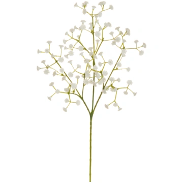 Gypsophila branch Casolaro Hotellerie