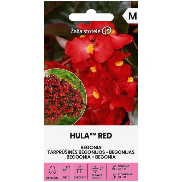 Sēklas Begonijas HULA™ RED 10s 4770168917347