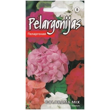 Pelargonijas Colorama Mix sēklas 0,2gr Kurzemes sē