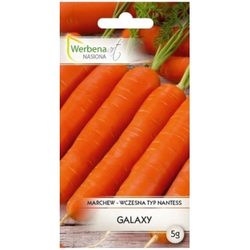 Burkāni Galaxy 5g. Burkānu sēklas