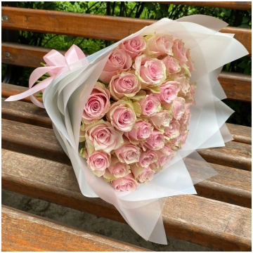 31 gn pink athena